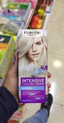 Palette Icc C10 Arc.Silver Blond