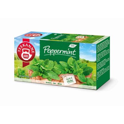 ČAJ NANA TEEKANNE 30G