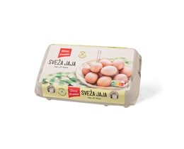 Kokosija jaja M Maxi 15/1