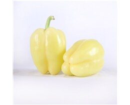 Paprika babura
