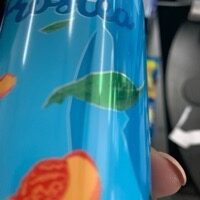Ledeni caj Frostea breskva 0330l limenka 24