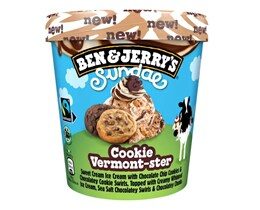 SLADOLED COOKIE VERMONT-STER BEN&JERRY 427ML