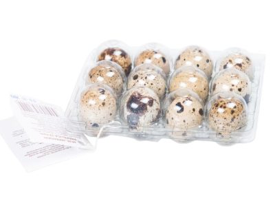 JAJA OD JAPANSKE PREPELICE EGG TRADE 12/1