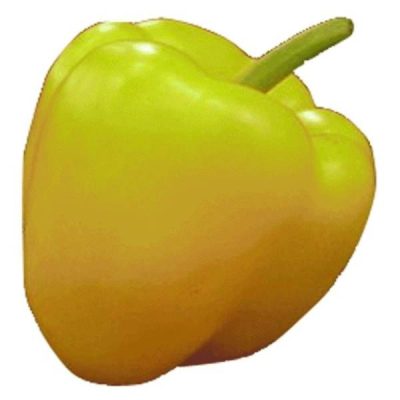 PAPRIKA 3 COLOUR 500G TIRNATUR
