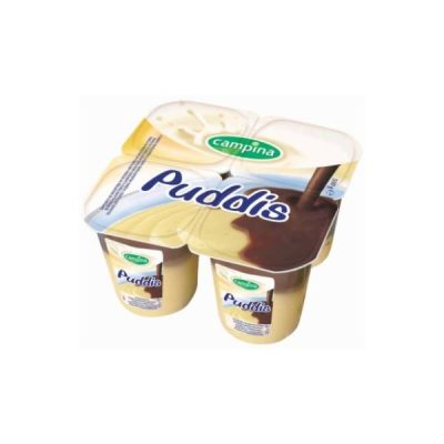 PUDDIS VANILA PRELIV COKOLADA 125G
