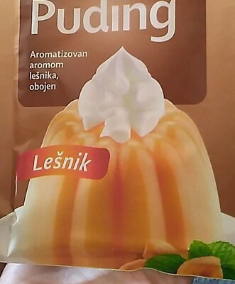 PUDING LEŠNIK ALEVA 40G