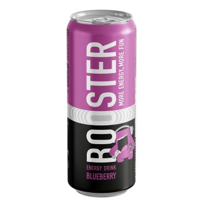 ENERGETSKO PIĆE BOOSTER BOROVNICA 0,25L