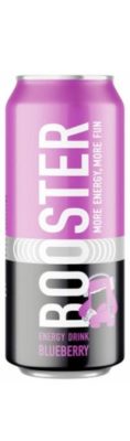 ENERGETSKO PIĆE BOOSTER BLUEBERRY 0,5L